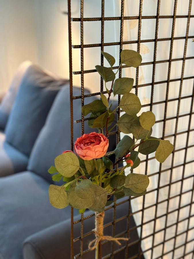 Mia Appartements إنسبروك المظهر الخارجي الصورة